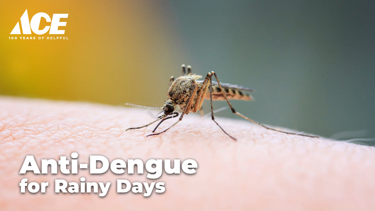 Anti-Dengue Tactics for Rainy Days – AHPI