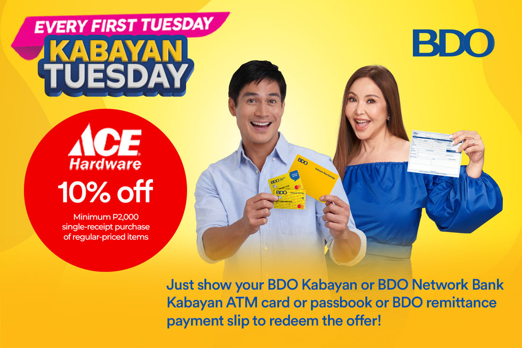 BDO Kabayan Day 2024