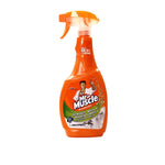 Mr. Muscle Mold And Mildew Stains