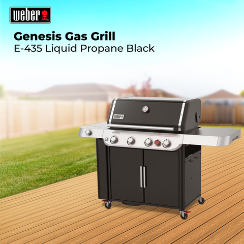 weber Genesis Gas Grill E-435